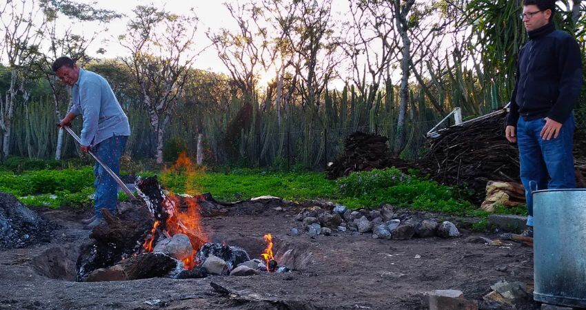 Origem do Churrasco: Como Tudo Começou