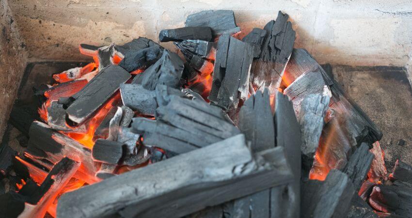 Qual a Melhor Lenha para o seu Churrasco